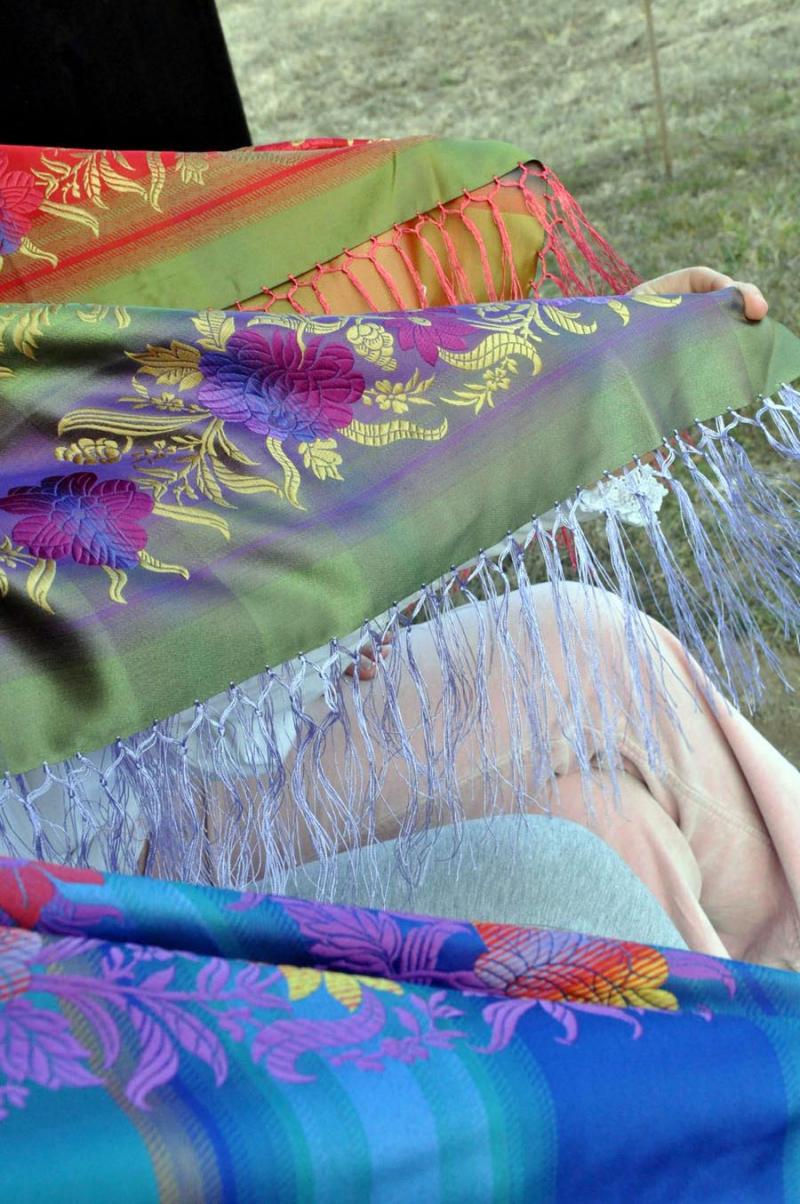 2011-03-11_17-55-34ruta_borovnicka