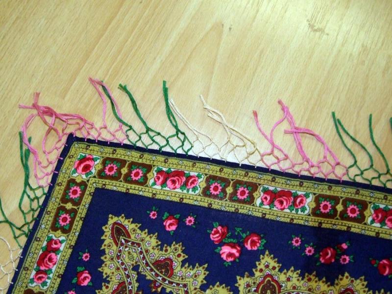 2006-01-20_09-13-15ruta_primeri