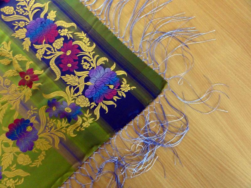 2010-08-16_15-51-51ruta_borovnicka